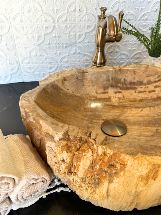 Petrified Wood Vessel Sink - Unique | Solange & Frances