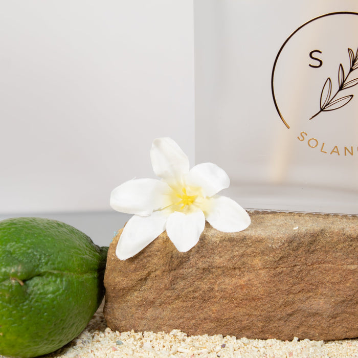 Coastal Veil Reed Diffuser - Solange & Frances