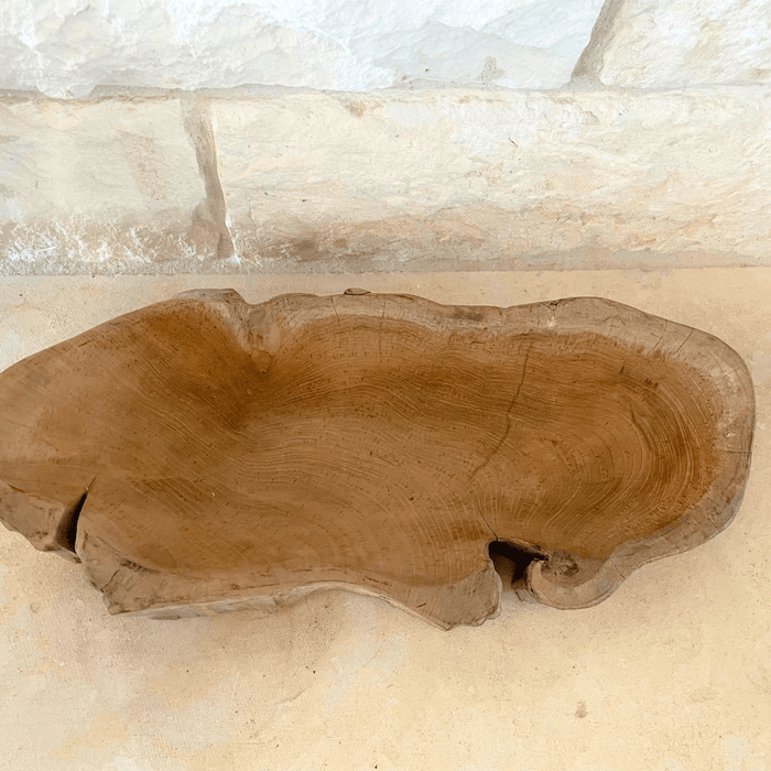 Driftwood Centerpiece Bowl - Solange & Frances
