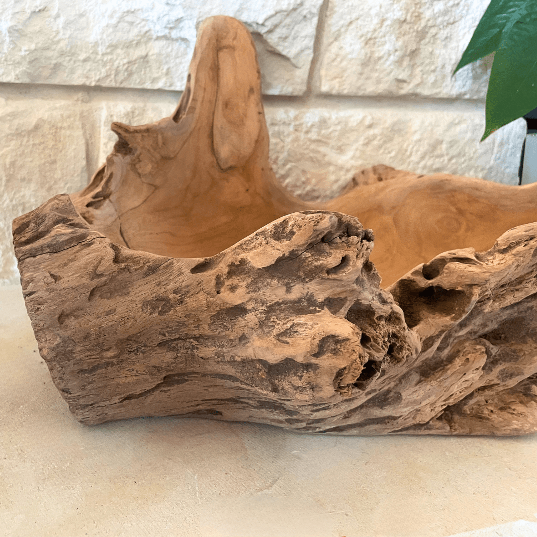 Driftwood Centerpiece Bowl - Solange & Frances
