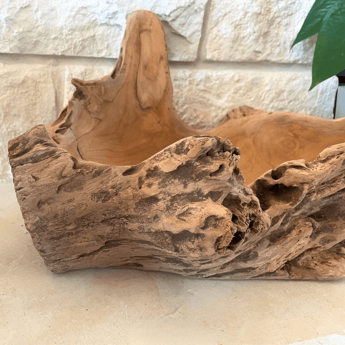 Driftwood Centerpiece Bowl - Solange & Frances