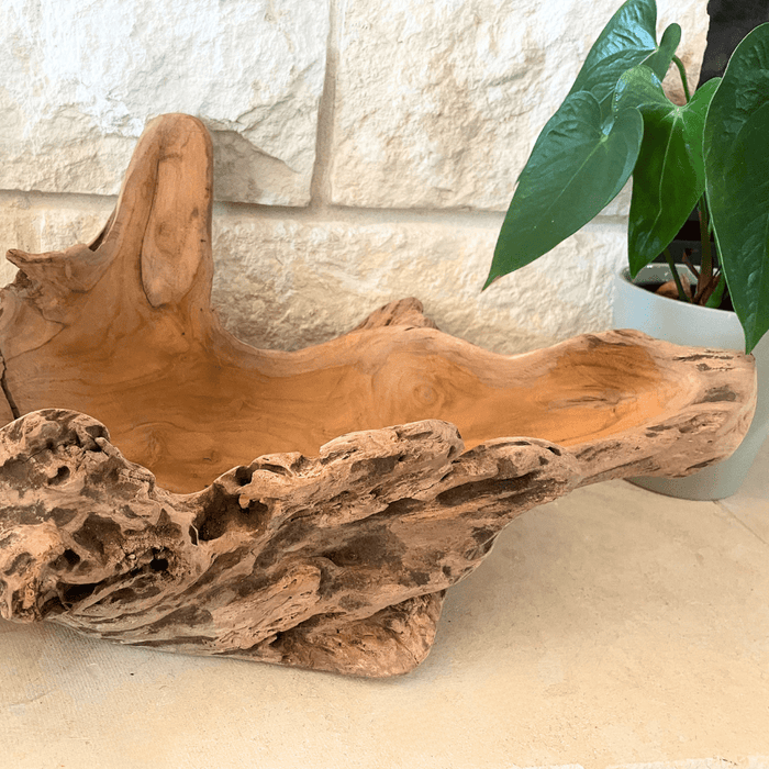Driftwood Centerpiece Bowl - Solange & Frances
