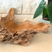 Driftwood Centerpiece Bowl - Solange & Frances