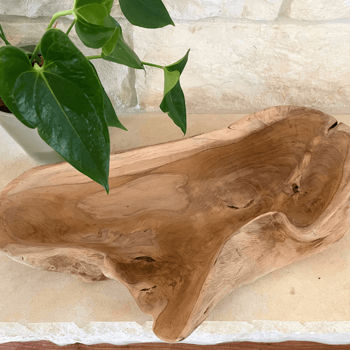 Driftwood Centerpiece Bowl - Solange & Frances