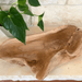 Driftwood Centerpiece Bowl - Solange & Frances