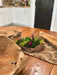 Driftwood Centerpiece Bowl - Solange & Frances