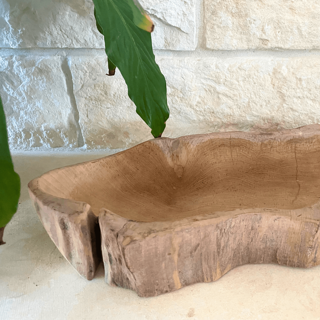 Driftwood Centerpiece Bowl - Solange & Frances