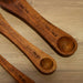 Forestry Measuring Spoons - Set of 3 - Solange & Frances