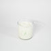 Jasmine Mist 2 - Wick Candle - Solange & Frances