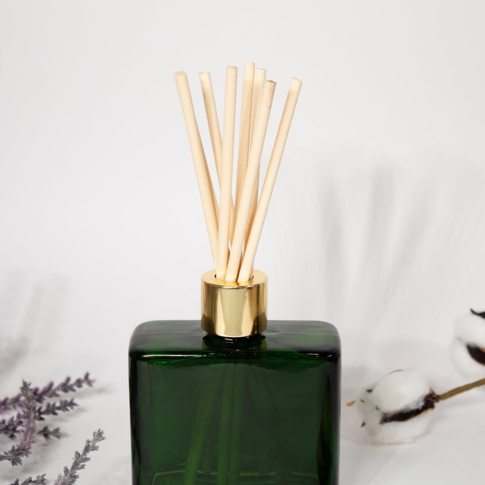 Linen & Light Reed Diffuser - Solange & Frances