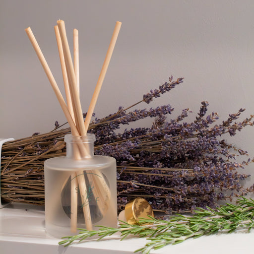 Linen & Light Reed Diffuser - Solange & Frances