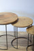 Nesting Mango Wood Accent Tables - Set of 3 - Solange & Frances