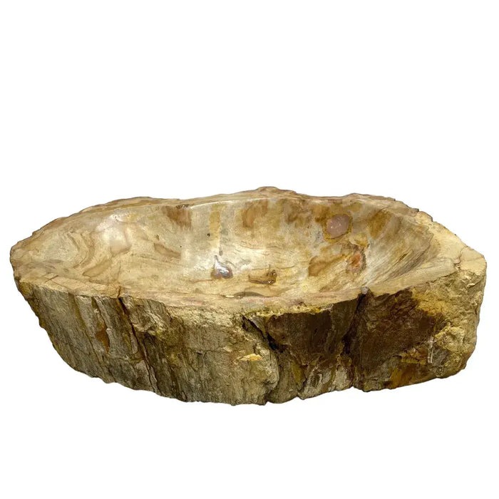 Petrified Wood Vessel Sinks | Solange & Frances