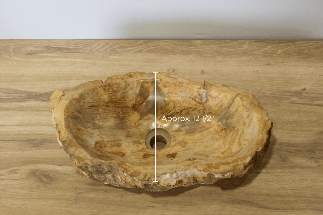 Petrified Wood Vessel Sink - Solange & Frances