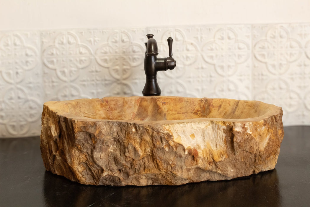 Petrified Wood Vessel Sink - Solange & Frances