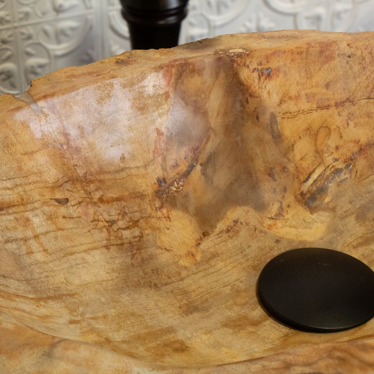 Petrified Wood Vessel Sink - Solange & Frances