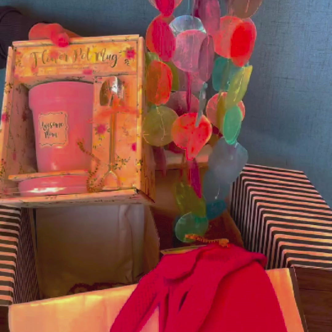 Gardening Gift Box | Solange & Frances