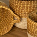 Rattan White Dipped Hampers W/ Handles - Set of 3 - Solange & Frances