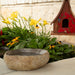 River Rock Bird Bath - Solange & Frances