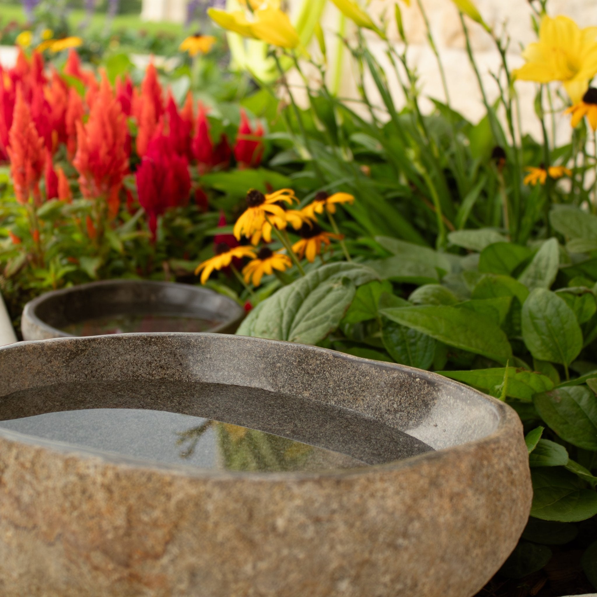 River Rock Bird Bath - Solange & Frances