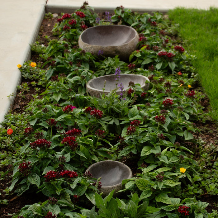 River Rock Bird Bath - Solange & Frances