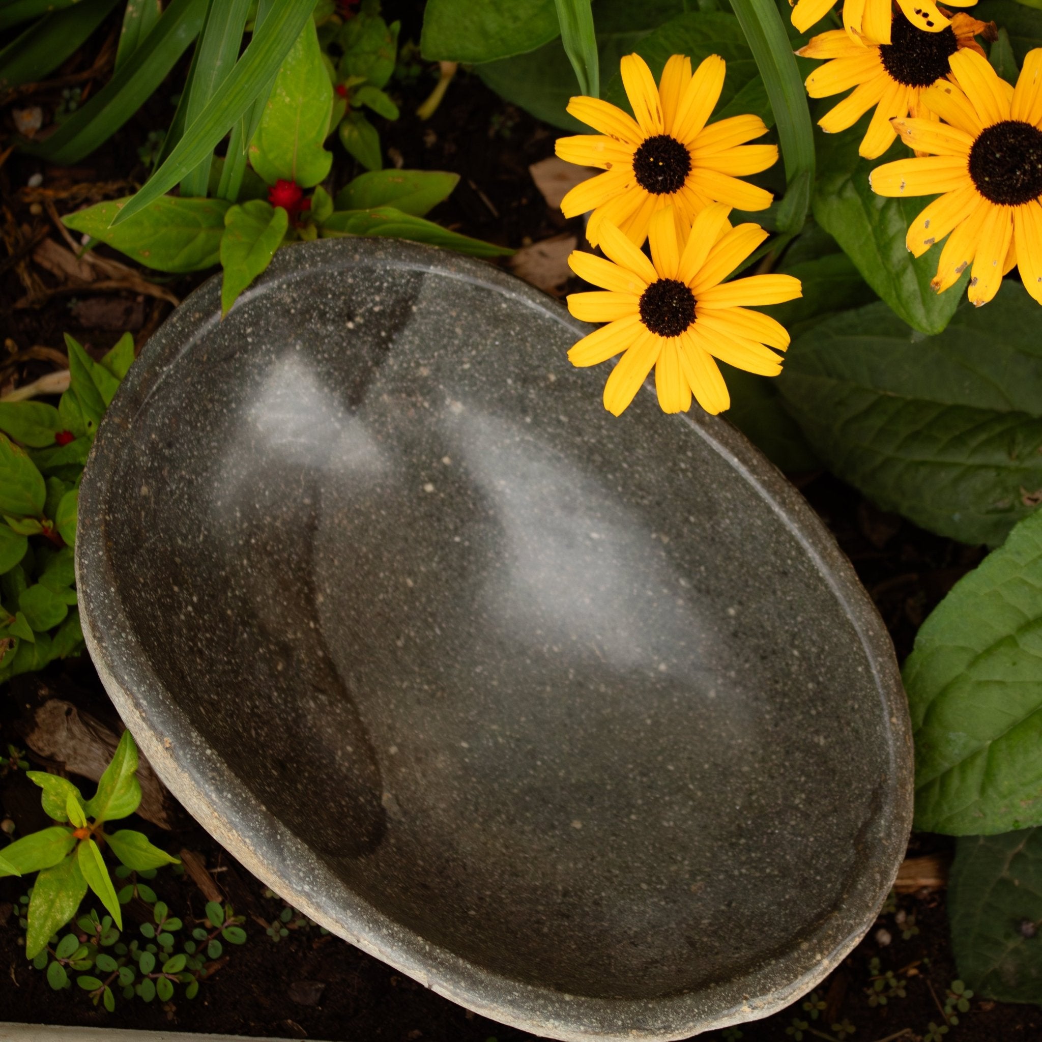 River Rock Bird Bath - Solange & Frances