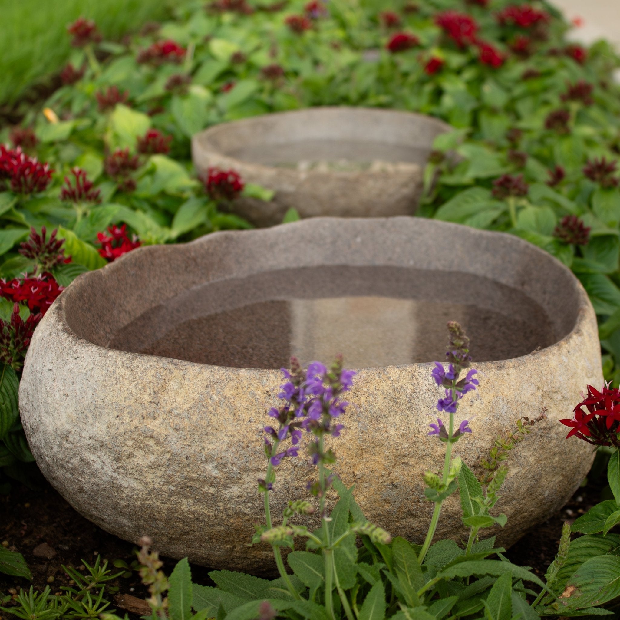 River Rock Bird Bath - Solange & Frances