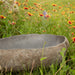River Rock Bird Bath - Solange & Frances