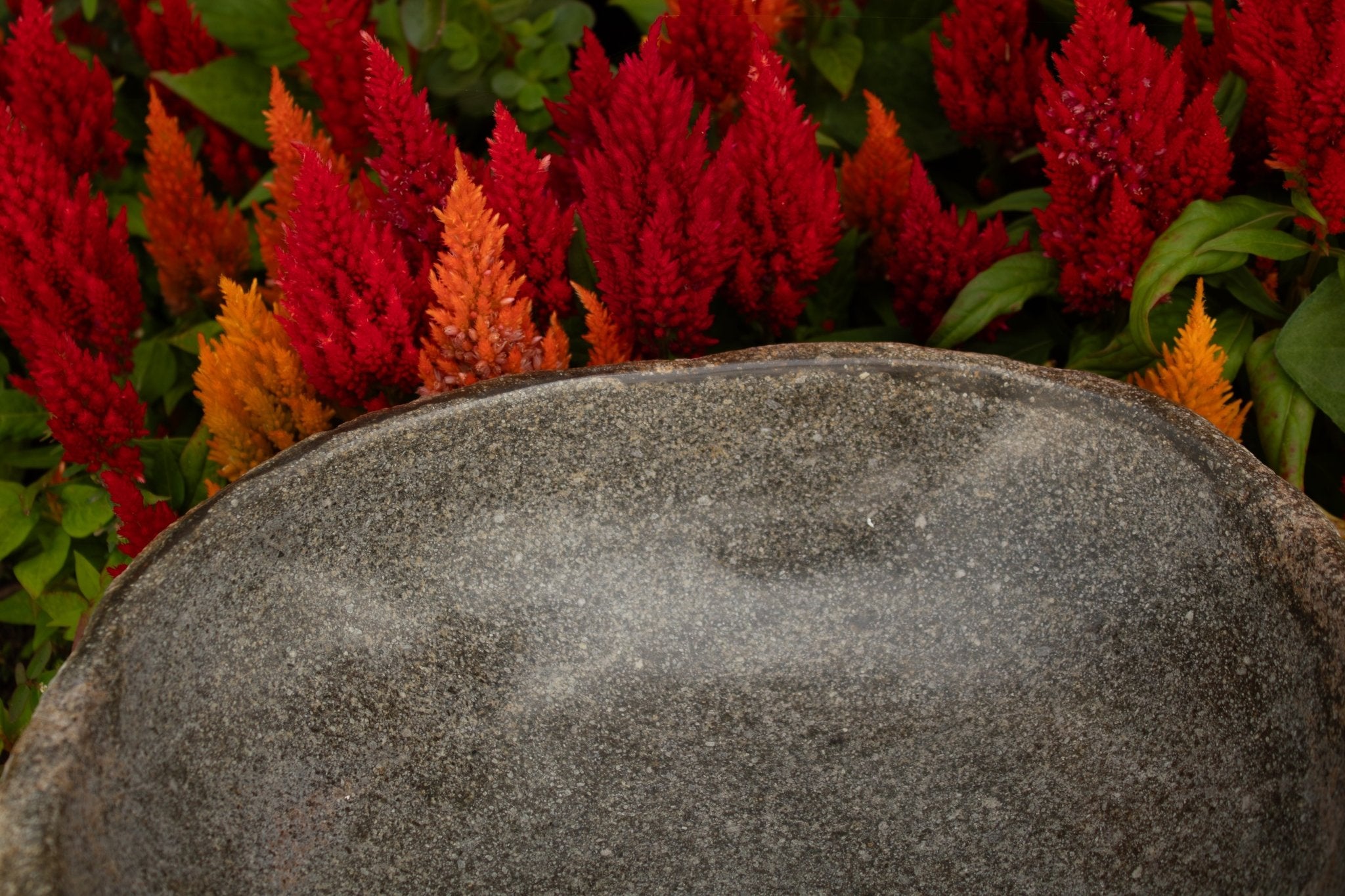 River Rock Bird Bath - Solange & Frances