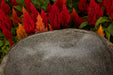 River Rock Bird Bath - Solange & Frances