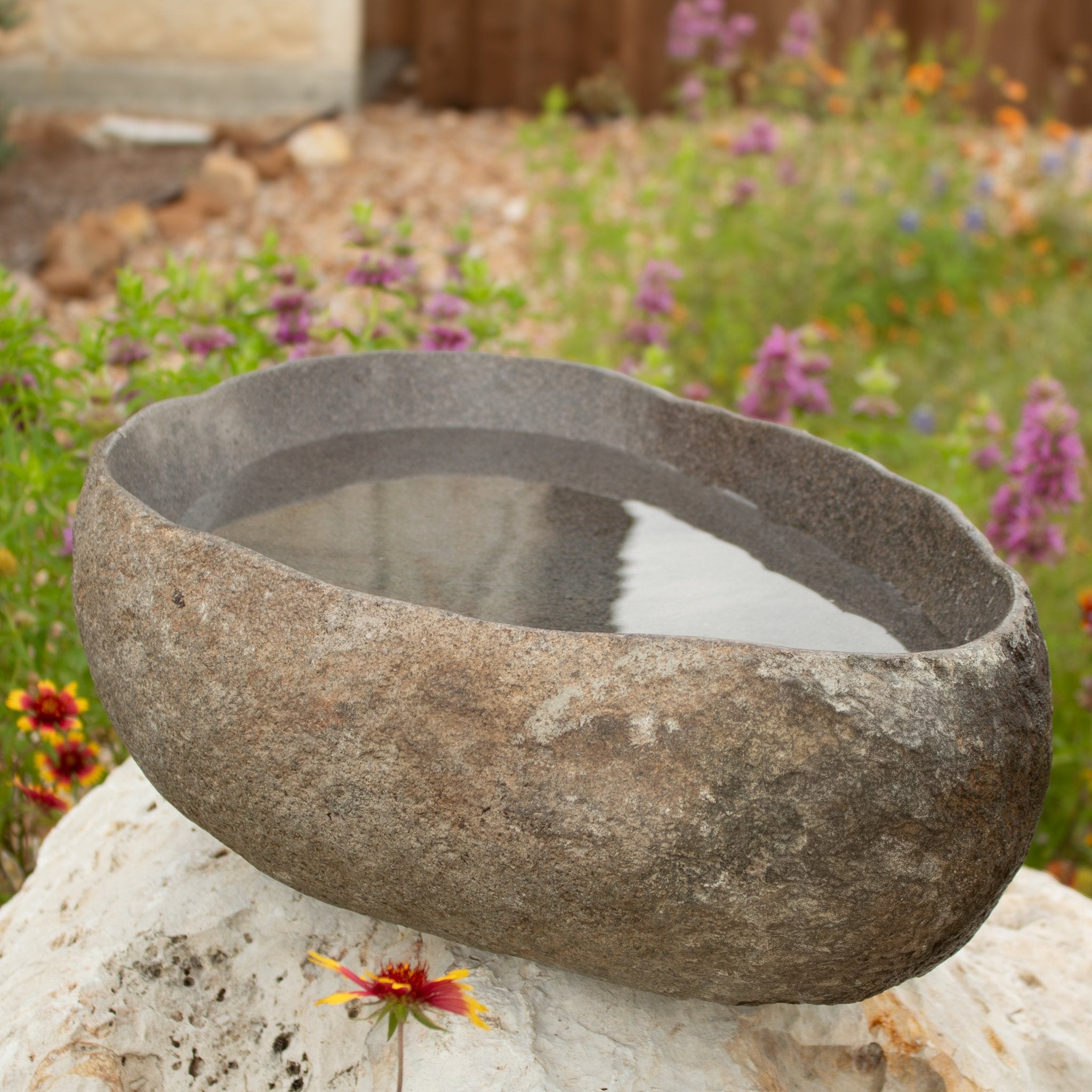 River Rock Bird Bath - Solange & Frances