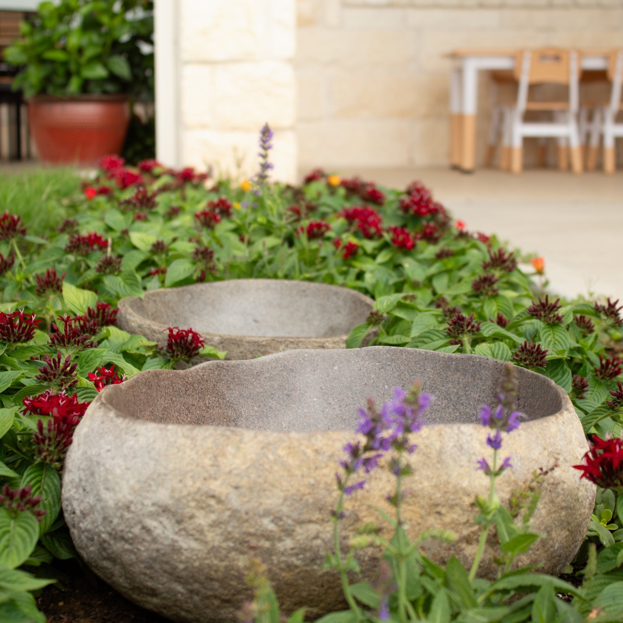 River Rock Bird Bath - Solange & Frances