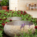 River Rock Bird Bath - Solange & Frances