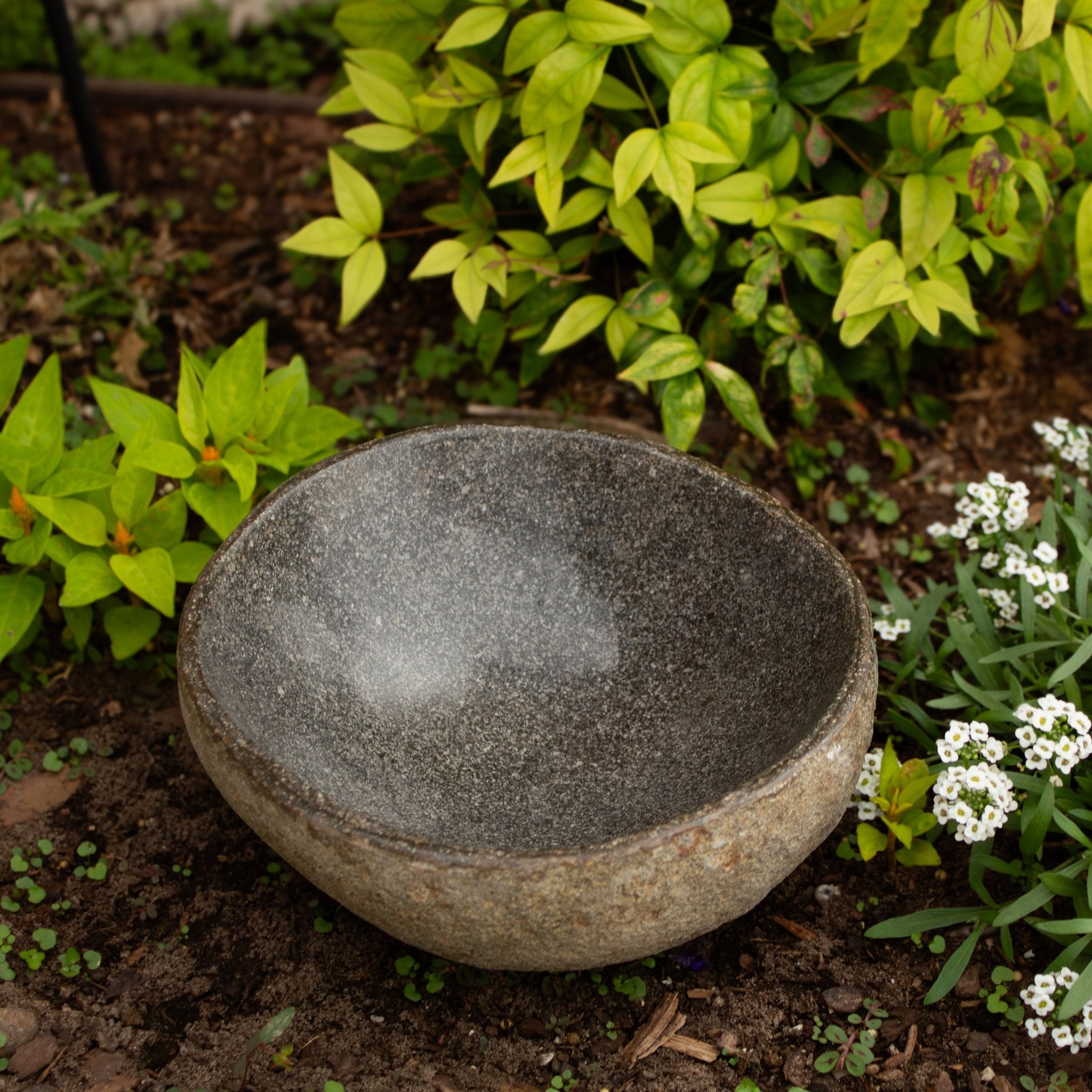 River Rock Bird Bath - Solange & Frances