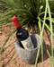 River Rock Wine Bucket - Solange & Frances
