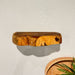 Teak Live Edge Shelf - Small - Solange & Frances
