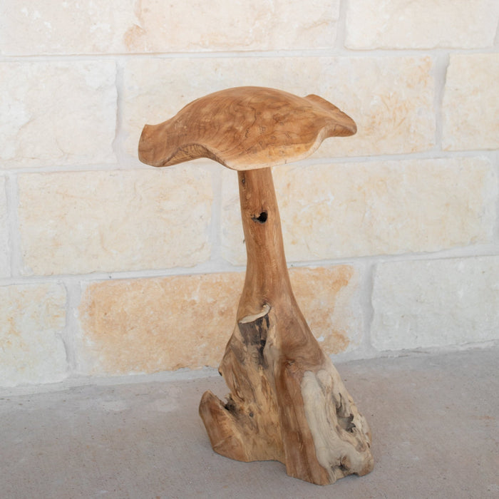 Teak Wood Mushrooms - Solange & Frances