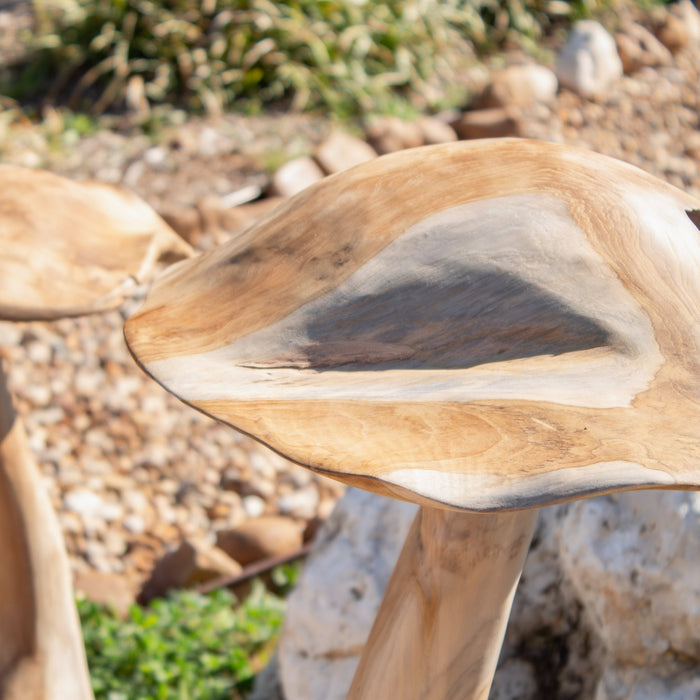 Teak Wood Mushrooms - Solange & Frances