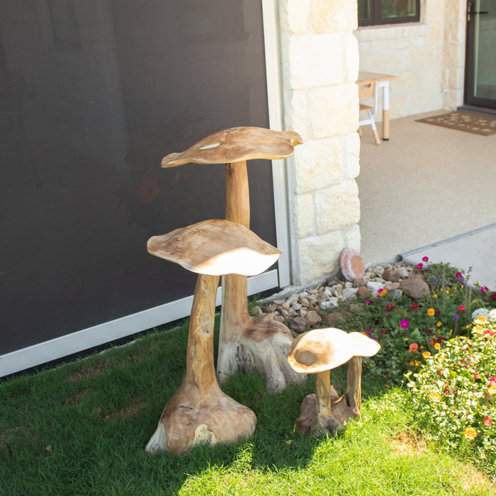 Teak Wood Mushrooms - Solange & Frances