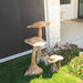 Teak Wood Mushrooms - Solange & Frances