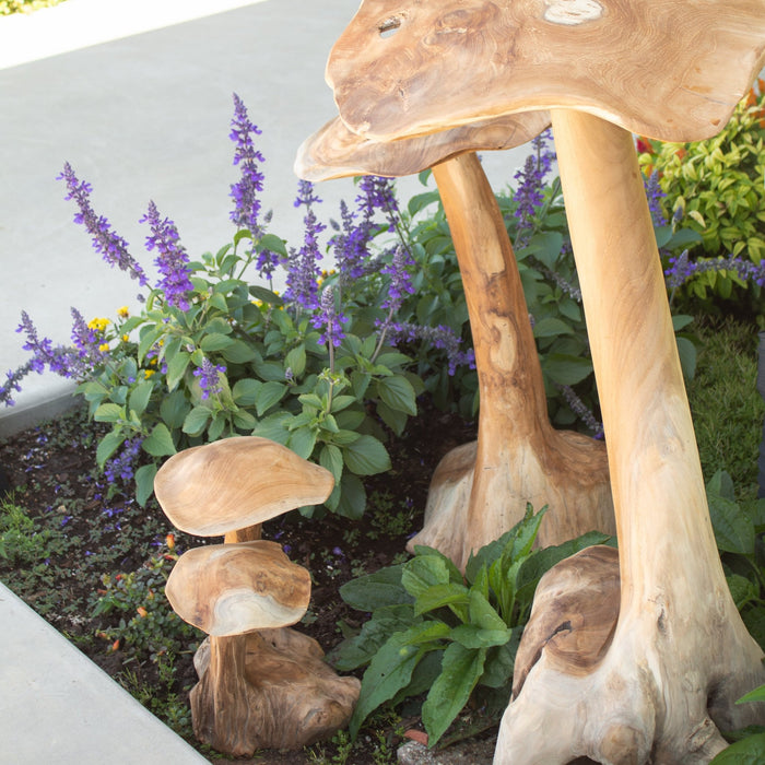 Teak Wood Mushrooms - Solange & Frances