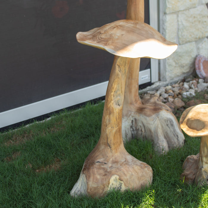 Teak Wood Mushrooms - Solange & Frances