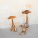 Teak Wood Mushrooms - Solange & Frances