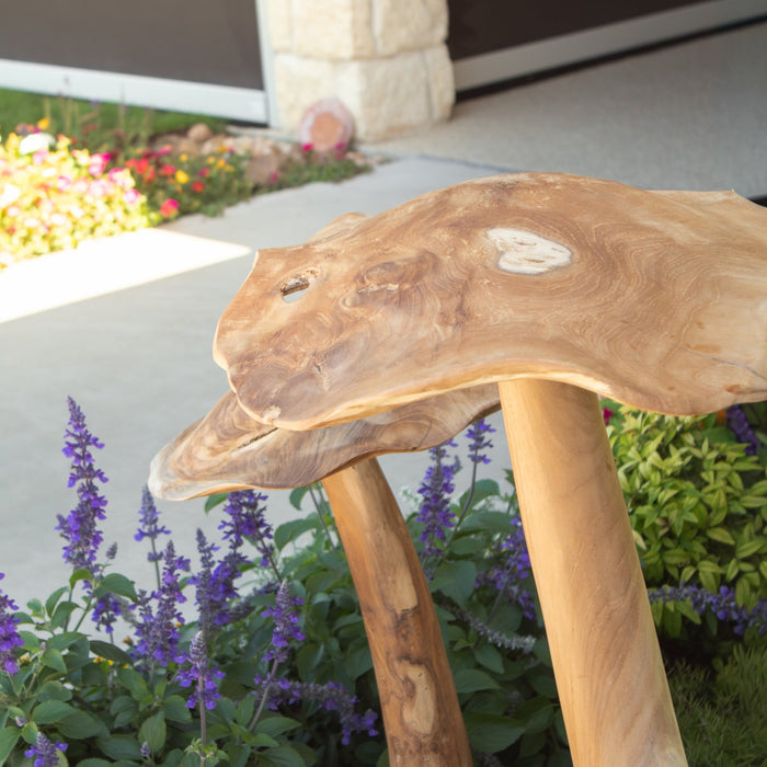 Teak Wood Mushrooms - Solange & Frances