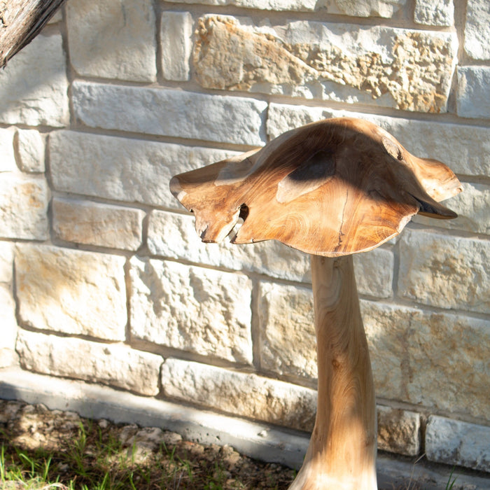 Teak Wood Mushrooms - Solange & Frances