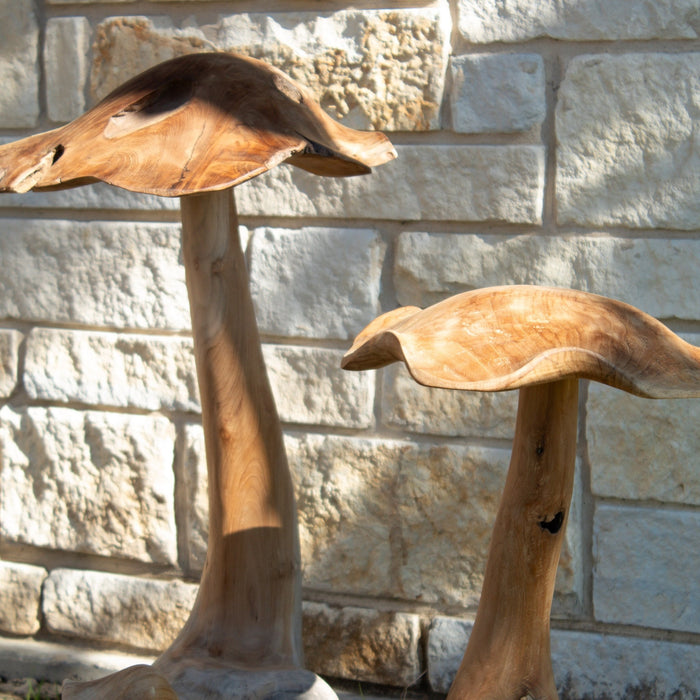 Teak Wood Mushrooms - Solange & Frances