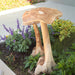 Teak Wood Mushrooms - Solange & Frances