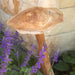 Teak Wood Mushrooms - Solange & Frances