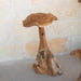 Teak Wood Mushrooms - Solange & Frances