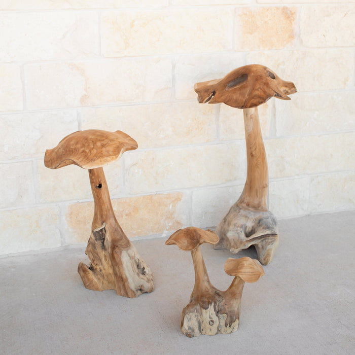 Teak Wood Mushrooms - Solange & Frances